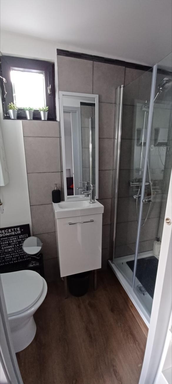 La salle de bain : lavabo, miroir, WC et douche vitrée