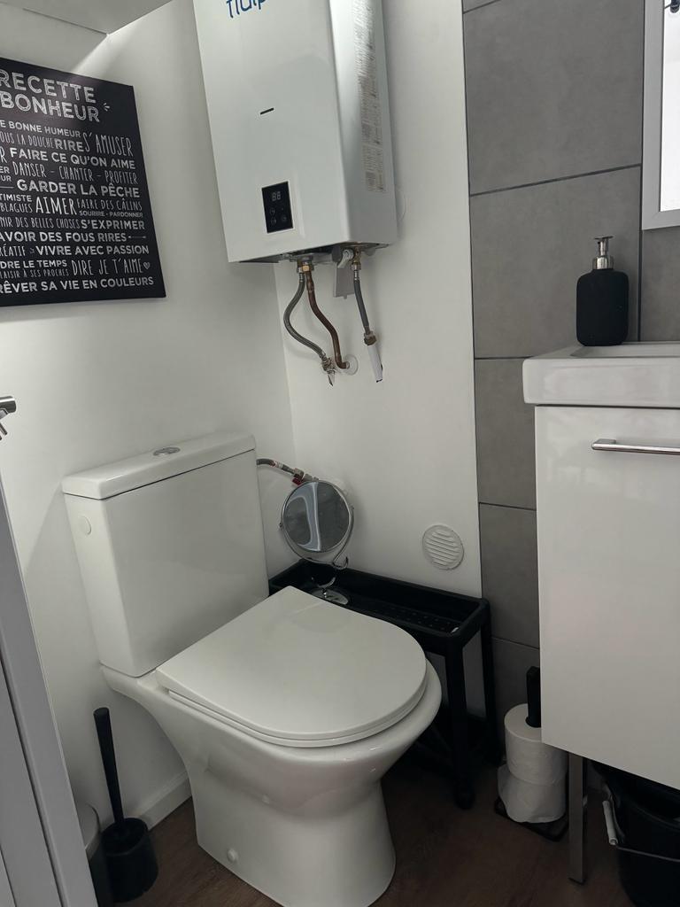 Les WC et le lavabo de la salle de bain